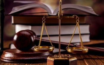immigration lawyer